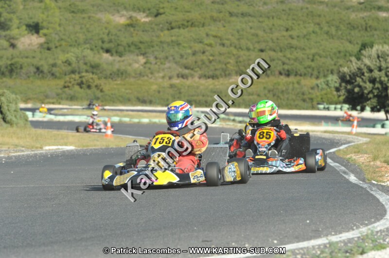 DSC (4134).JPG